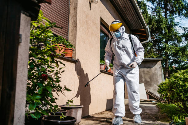 Flea Control Services in Flowery Branch, GA