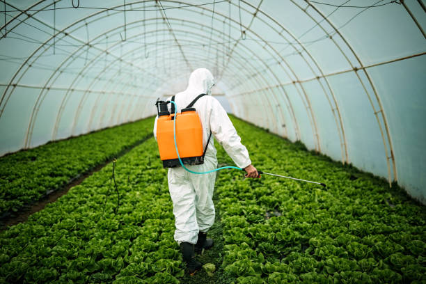Reliable Flowery Branch, GA Pest Control Solutions