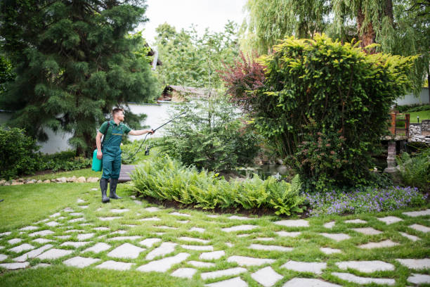 Best Local Pest Control Services  in Flowery Branch, GA