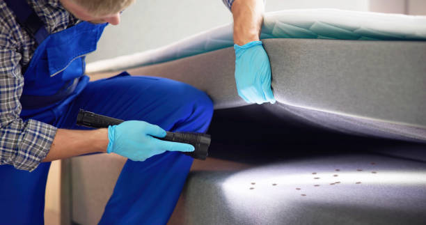 Pest Control for Restaurants in Flowery Branch, GA