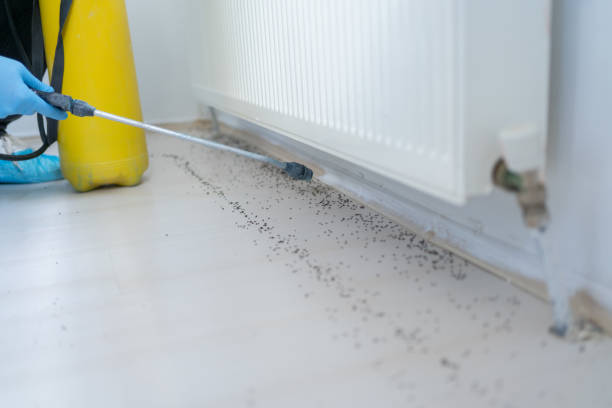 Best Pest Removal Services  in Flowery Branch, GA